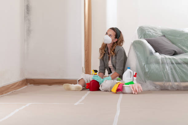 Reliable Mold Inspection contractor in Smithtown, NY by WQB Mold Removal